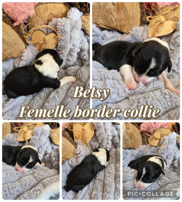 Betsy